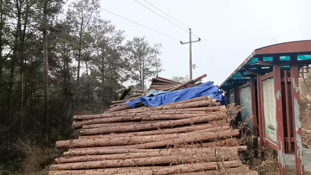 微信图片_20260126093649_24_385.jpg